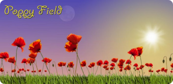 Poppy Field Live Wallpaper -    