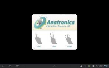 Anatronica - 3D     