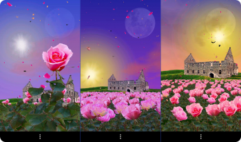 Rose Garden Live Wallpaper -      