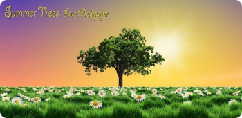 Summer Trees Live Wallpaper -     