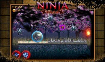 Rush Ninja - Ninja Games -   