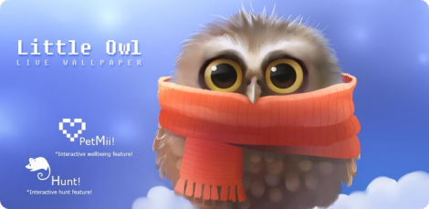 Little Owl Live Wallpaper -  