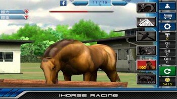 iHorse Racing -   