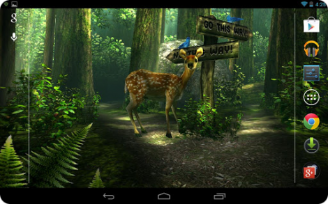 Forest HD -   