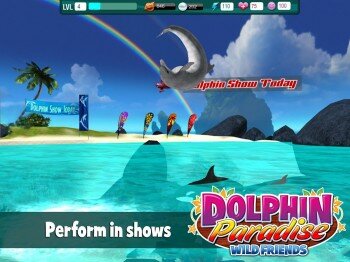 Dolphin Paradise: Wild Friends -  