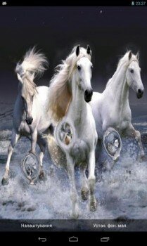 Beautiful Horses Wave effect -    