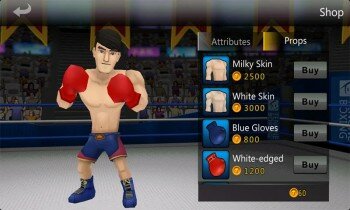 Pro 3D Boxing - -