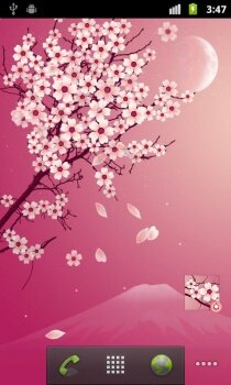 Sakura Pro - цветущая Сакура