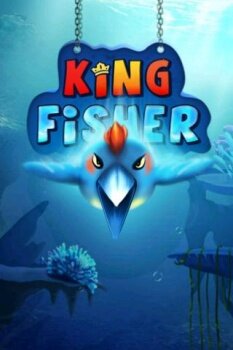 Kingfisher -  