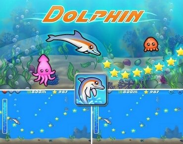 Dolphin - водные приключения