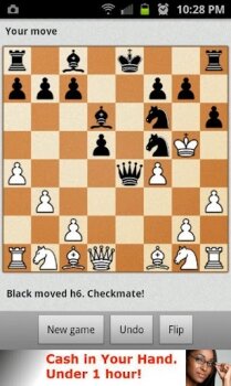 Chess Grandmaster -  