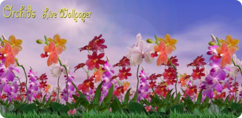Orchids Live Wallpaper -  