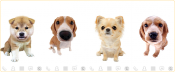 Bobbleheads LiveWallpaper - очаровательные собаки