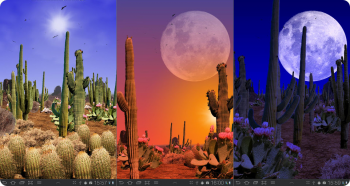 Desert Live Wallpaper - обои с кактусами