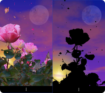Rose Garden Live Wallpaper -      