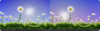Lovely Daisies Live Wallpaper -    