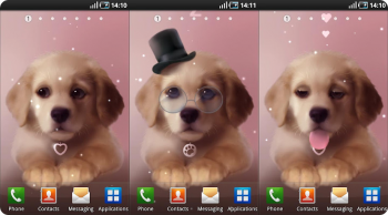 Puppy Live Wallpaper - обои с интерактивным щенком