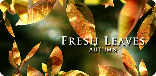 Fresh Leaves Live Wallpaper -  3D  