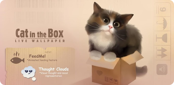 Cat in the Box -      apofiss