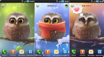 Little Owl Live Wallpaper - интерактивный совёнок