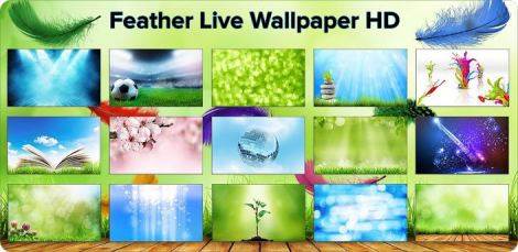 Feather Live Wallpaper HD Full -    "" 