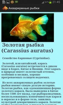 Аквариумные рыбки - пособие об рыбках живущих в аквариуме