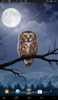 Owl Landscape -     
