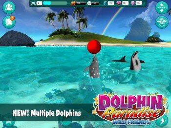 Dolphin Paradise: Wild Friends - увлекательный симулятор
