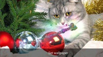 3D Christmas HD Live Wallpaper -     